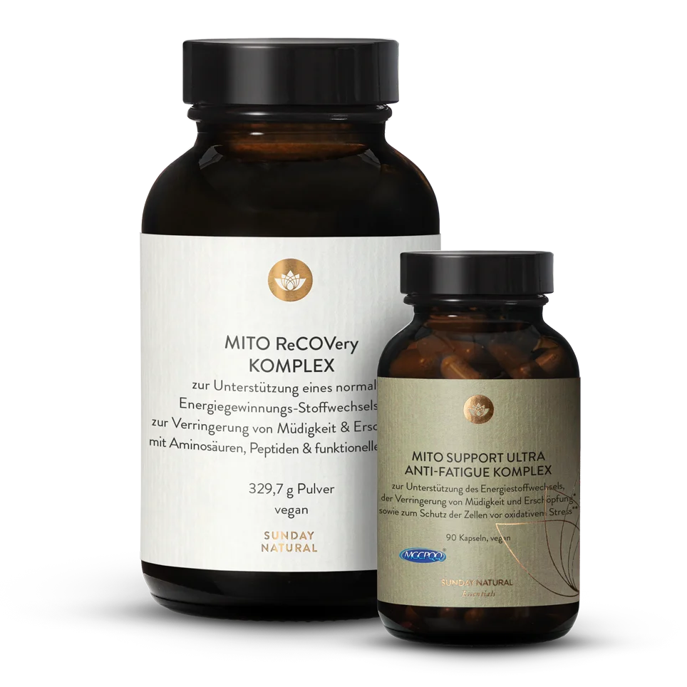 Mito-Basis-Set Mito Support Ultra + ReCOVery 1 St.