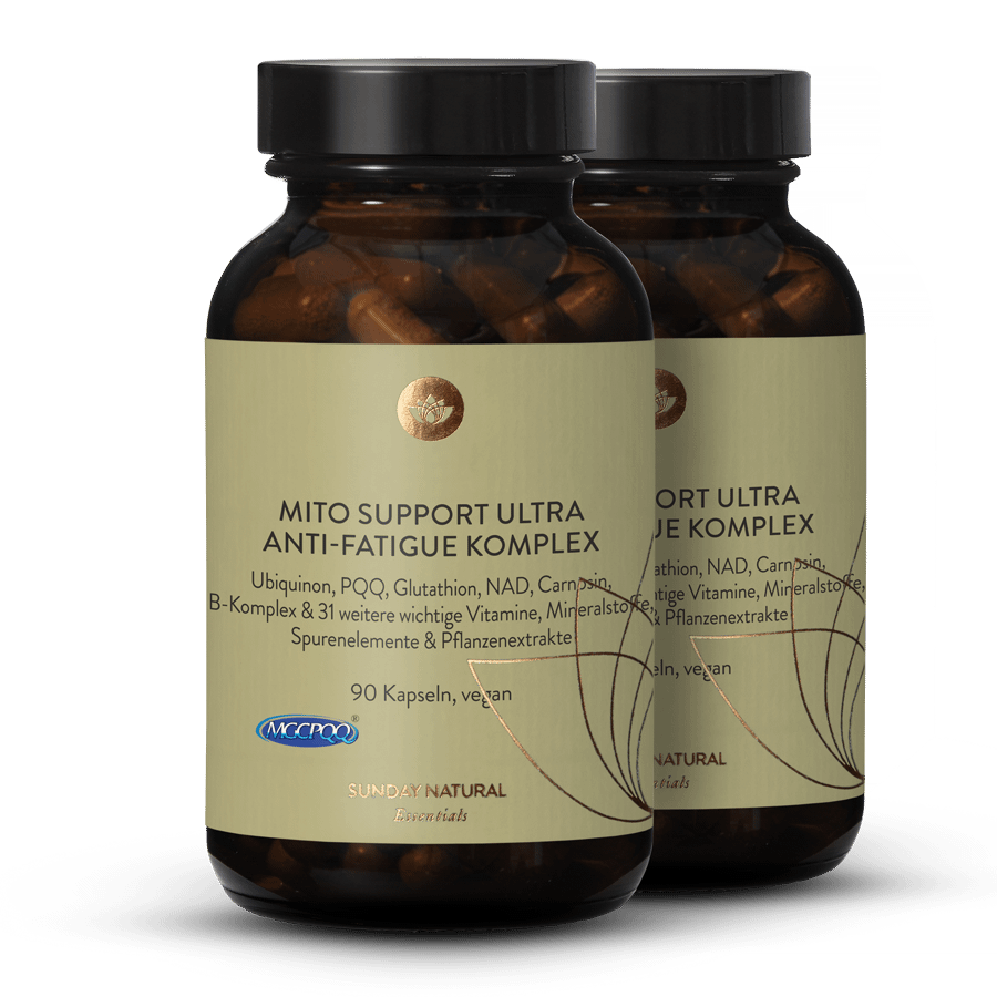 Complexe Mito Support Ultra Anti-fatigue 2 x 90 gélules