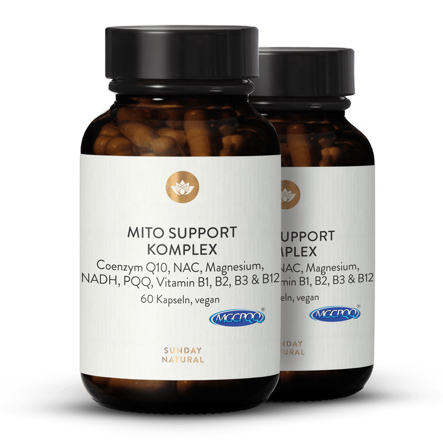 Mito Support Komplex 2x60 Kapseln