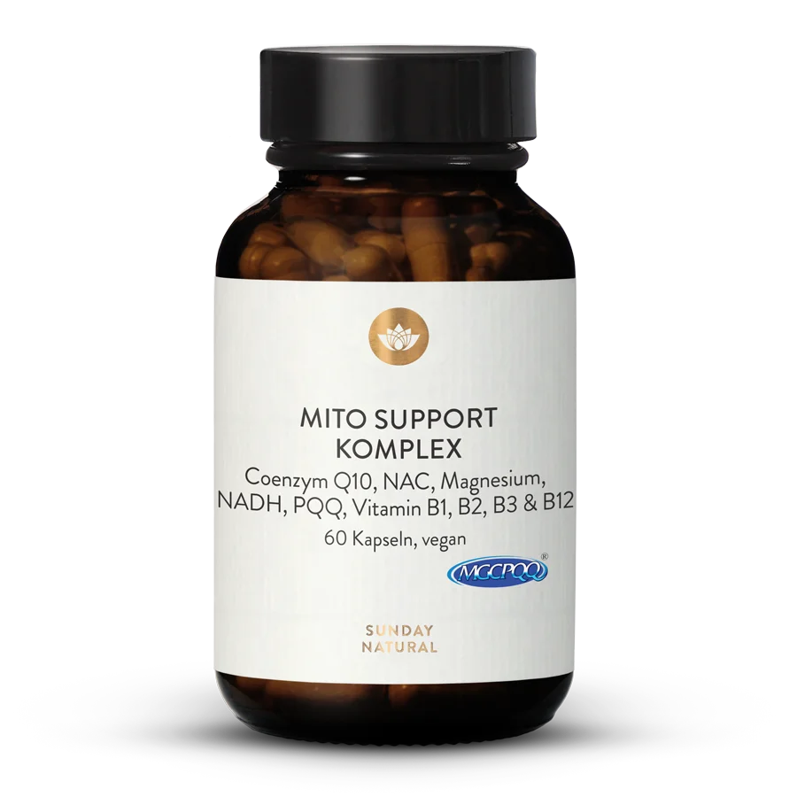Mito Support Komplex 60 Kapseln