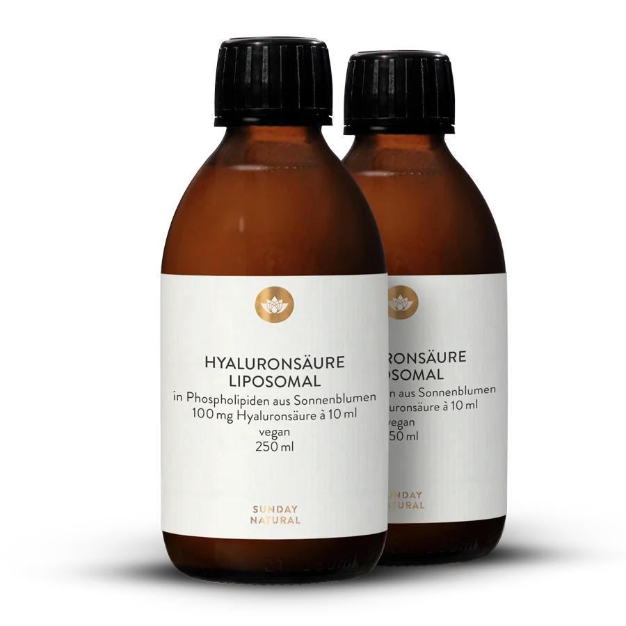 Hyaluronsäure Liposomal 2x250ml