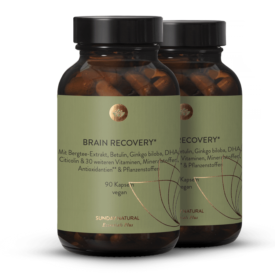 Brain Recovery 2x90 capsules