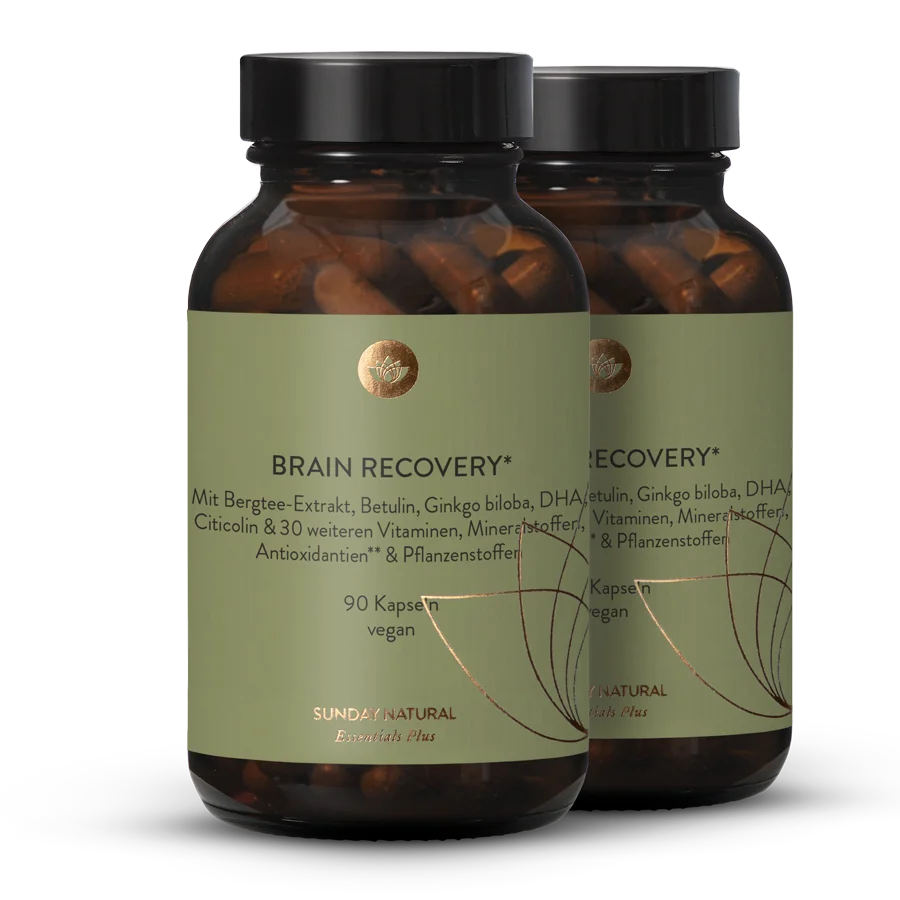 Brain Recovery 2x90 capsules