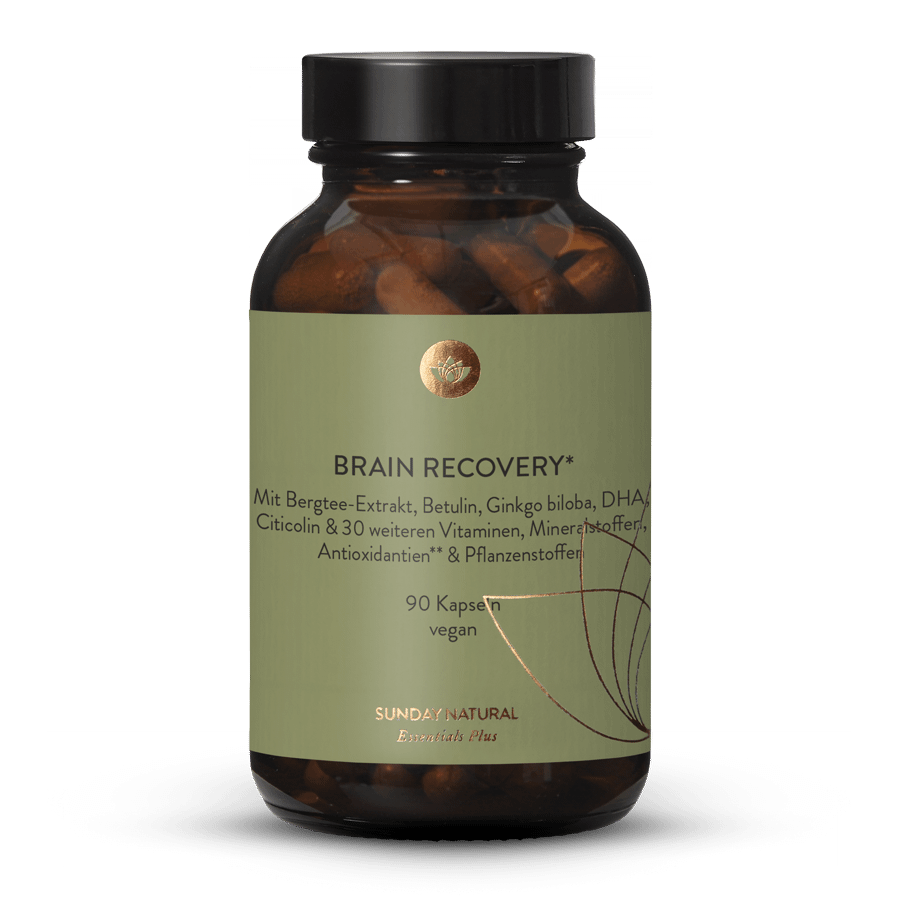 Brain Recovery 90 capsules