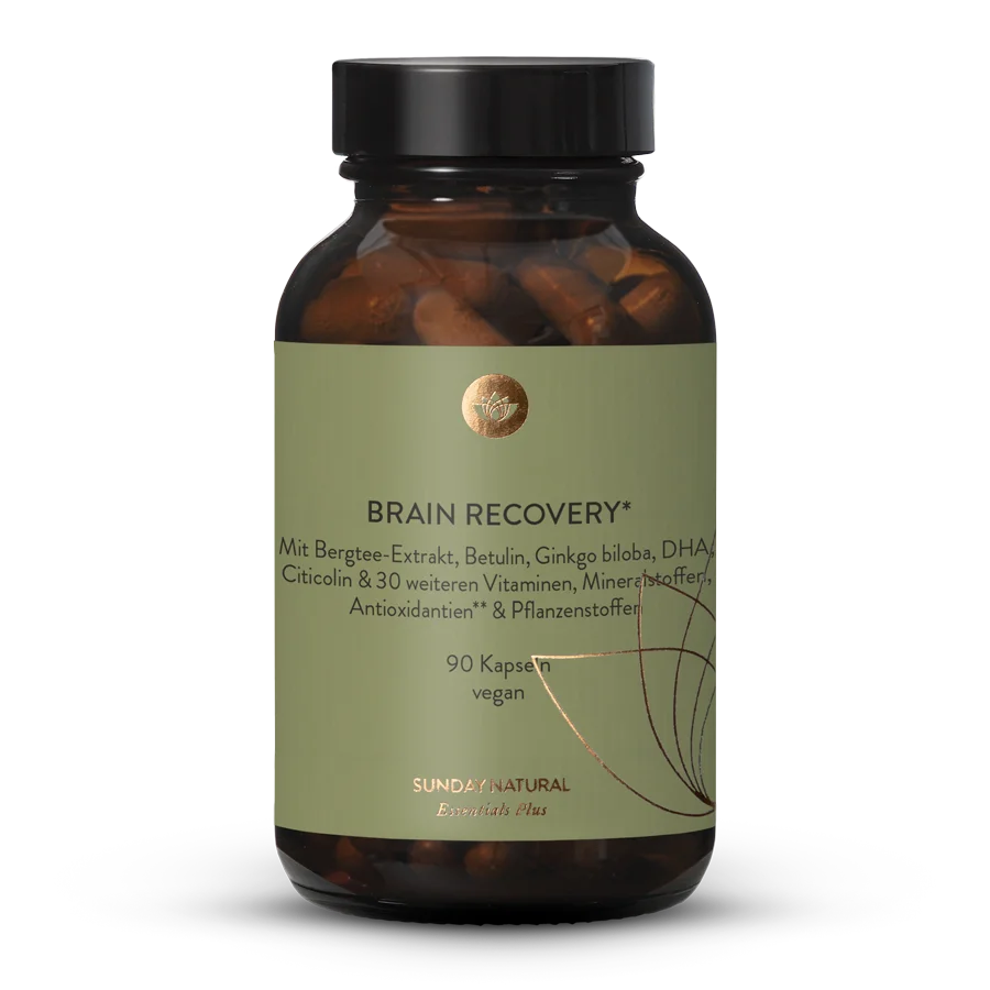 Brain Recovery 90 capsules