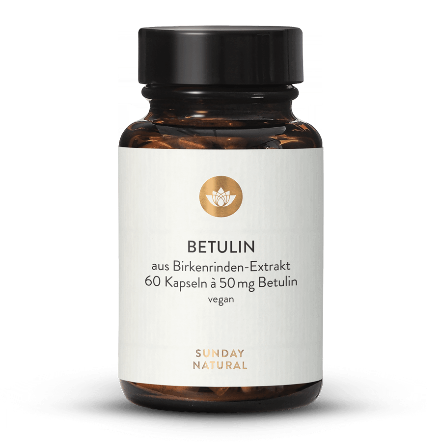 Betulin from Birch Bark 60 capsules