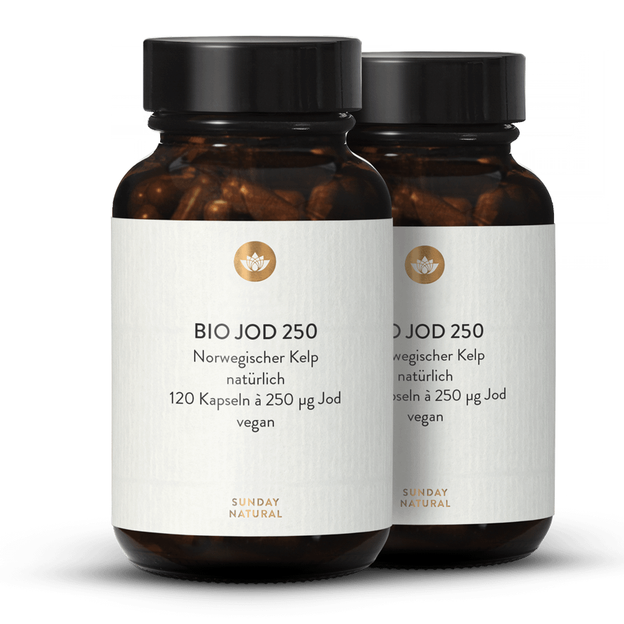 Bio Jod 250µg 2x120 Kapseln