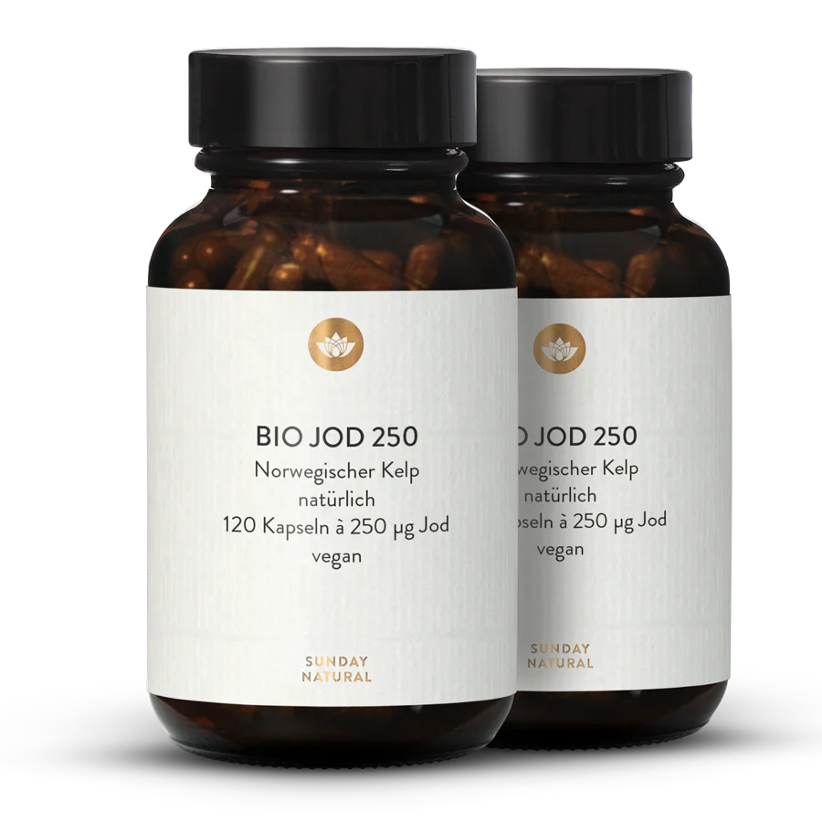 Iode bio 250 µg 2 x 120 gélules