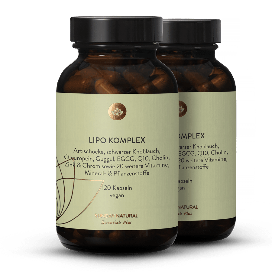 Lipo Komplex 2x120 Kapseln