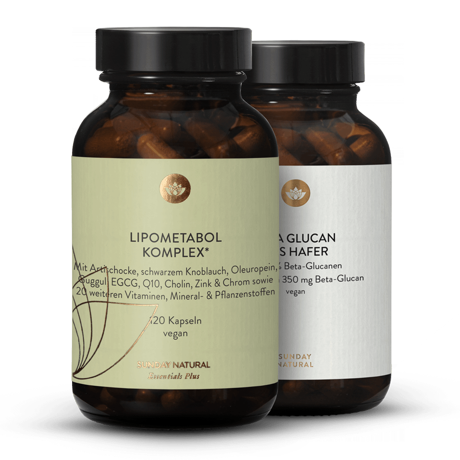 Cholestérol et lipides sanguins - coffret 1 p.