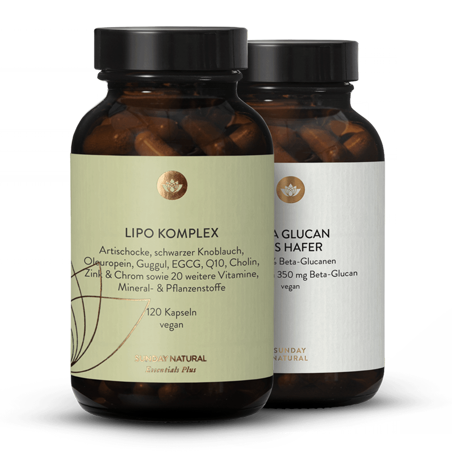 Cholesterol & Blood Lipids Set 1 pc.
