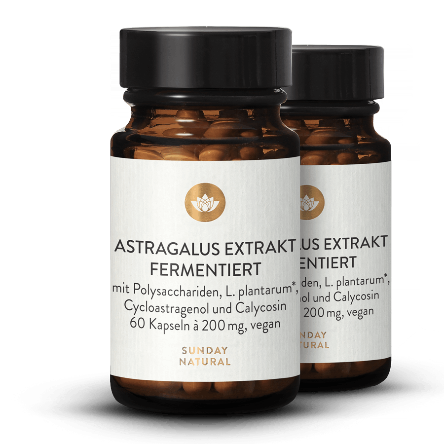 Astragalus Extrakt Fermentiert 2x60 Kapseln