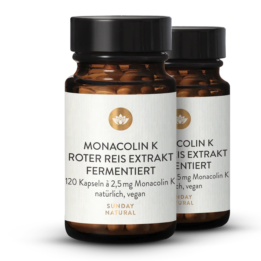 Monacolin K Roter Reis 2x120 Kapseln