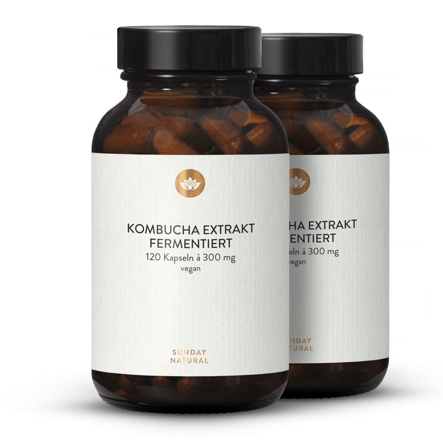 Kombucha Extract 2x120 capsules