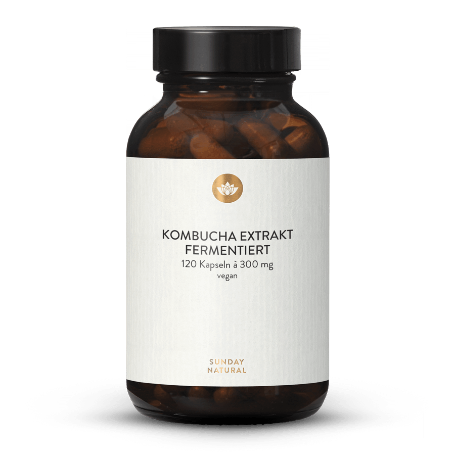 Extrait de kombucha fermenté 120 gélules