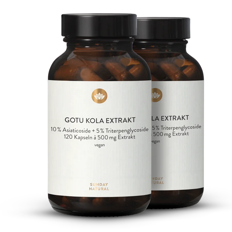 Gotu Kola Extrakt 2x120 Kapseln