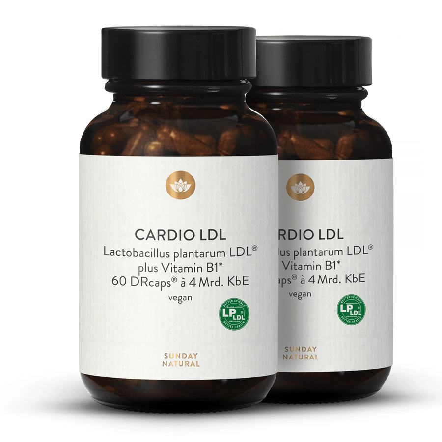 Cardio LDL Lactobacillus plantarum LDL® Kapseln 2x60 Kapseln