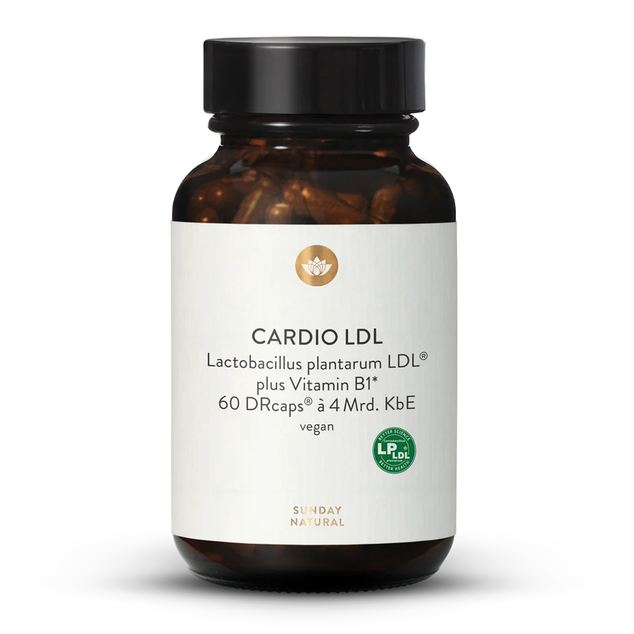 Cardio LDL Lactobacillus plantarum LDL® Kapseln 60 Kapseln