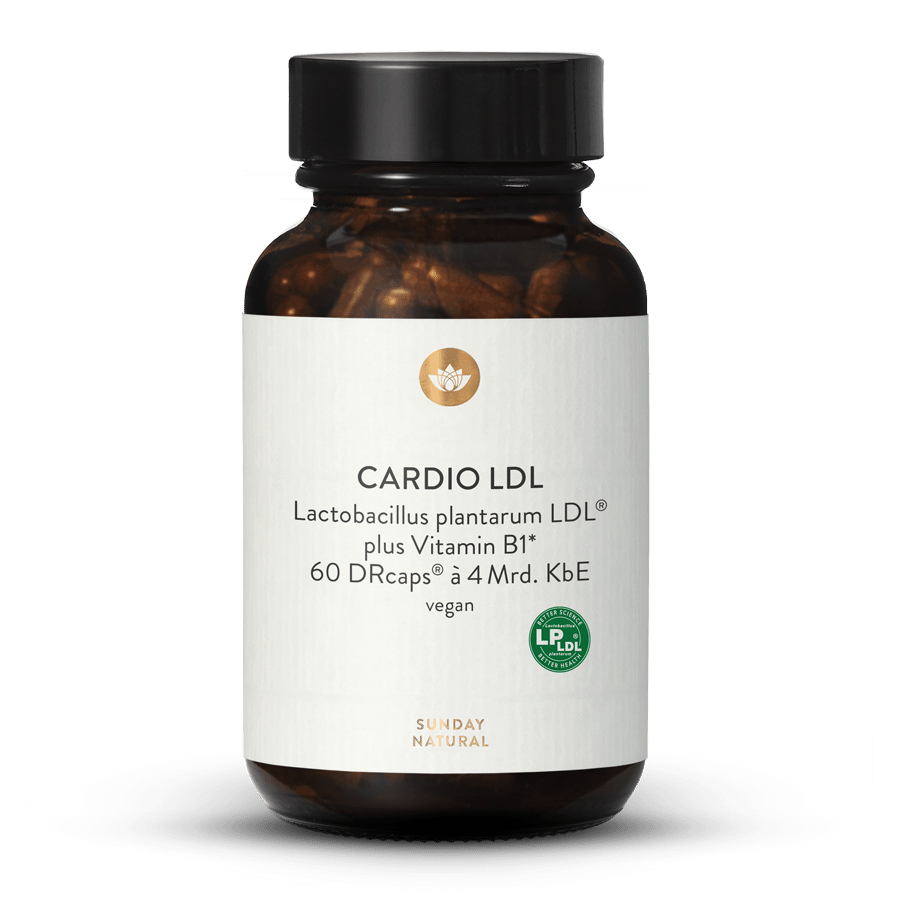 Cardio LDL Lactobacillus plantarum LDL® Kapseln 60 Kapseln