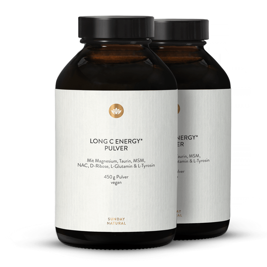 Long C Energy Powder 2x450g