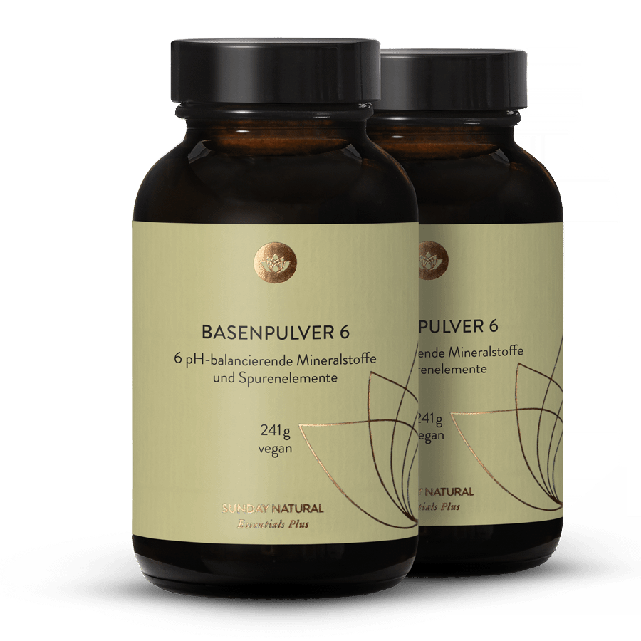 Basenpulver 6 2x241g