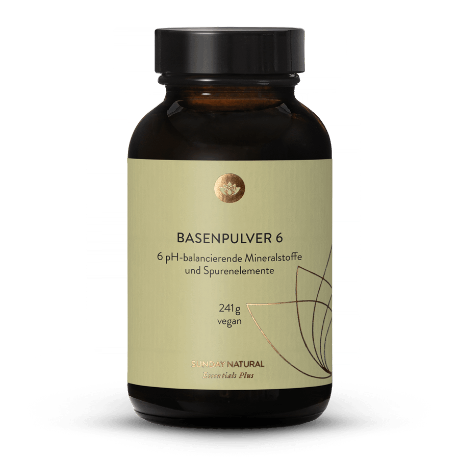 Basenpulver 6 241g
