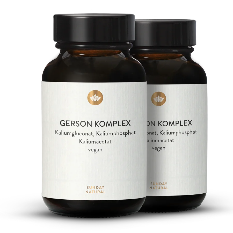 Gerson Complex Powder 2x100g