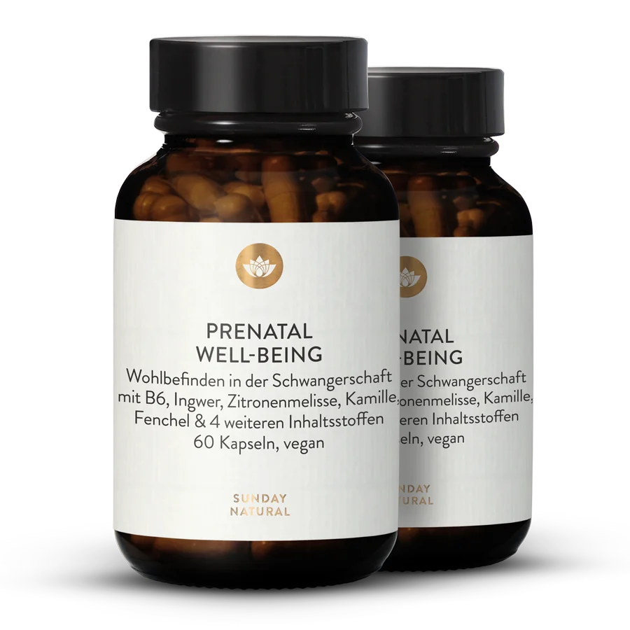 Prenatal Well-being 2x60 Kapseln
