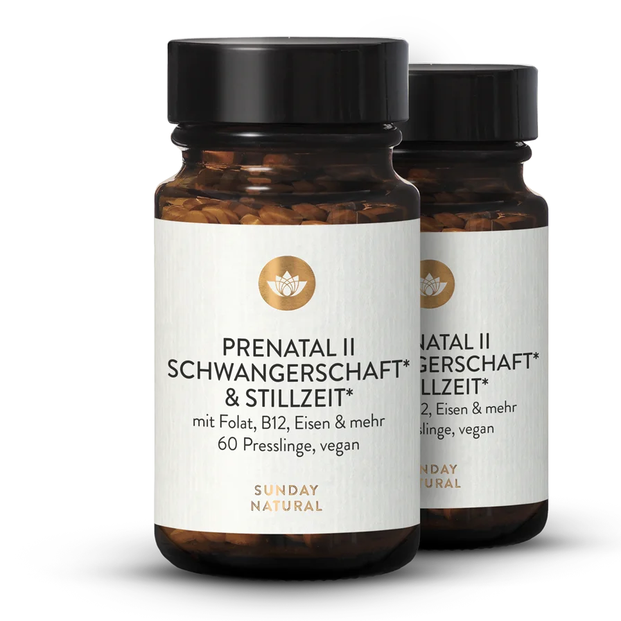 Pregnancy & Breastfeeding Prenatal II 2x60 tablets