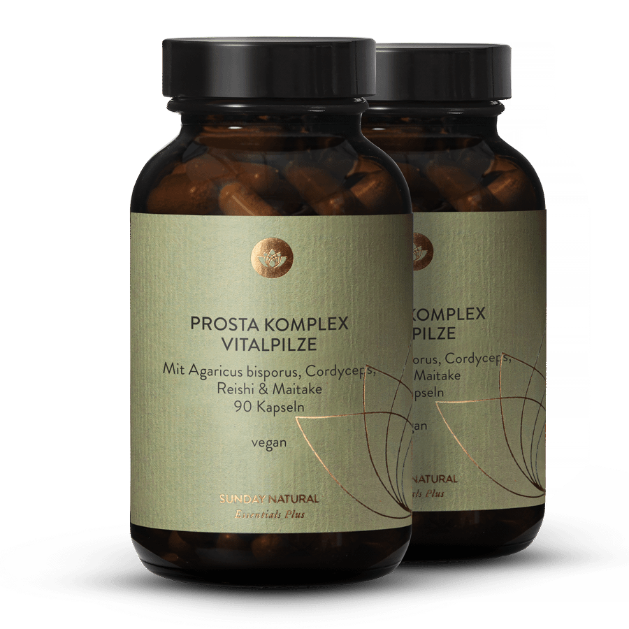 Prosta komplex Vitalpilze 2x90 Kapseln