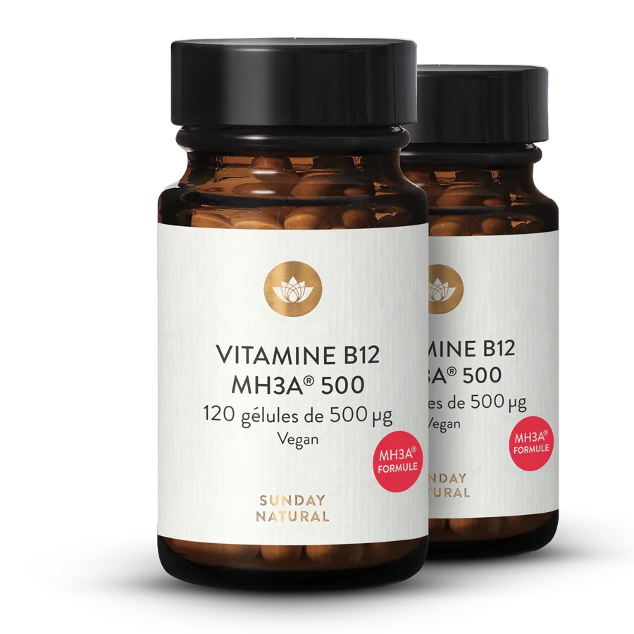 Vitamine B12 bioactive formule MH3A® 500 µg 2 x 120 gélules