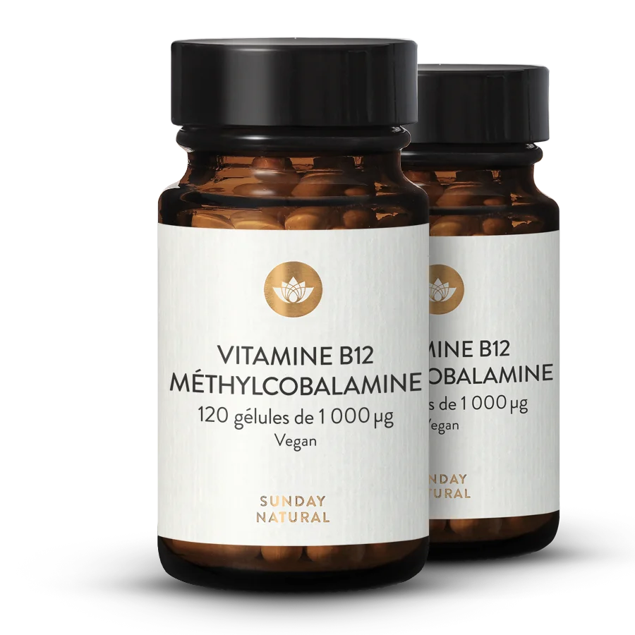 Vitamine B12 1000 µg -  Méthylcobalamine 2 x 120 gélules