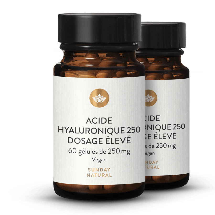 Acide hyaluronique 250 mg - gélules 2 x 60 gélules