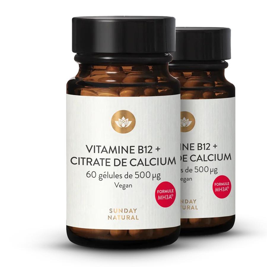 Vitamine B12 Mh3a® + Calcium 500 µg 2 x 60 gélules