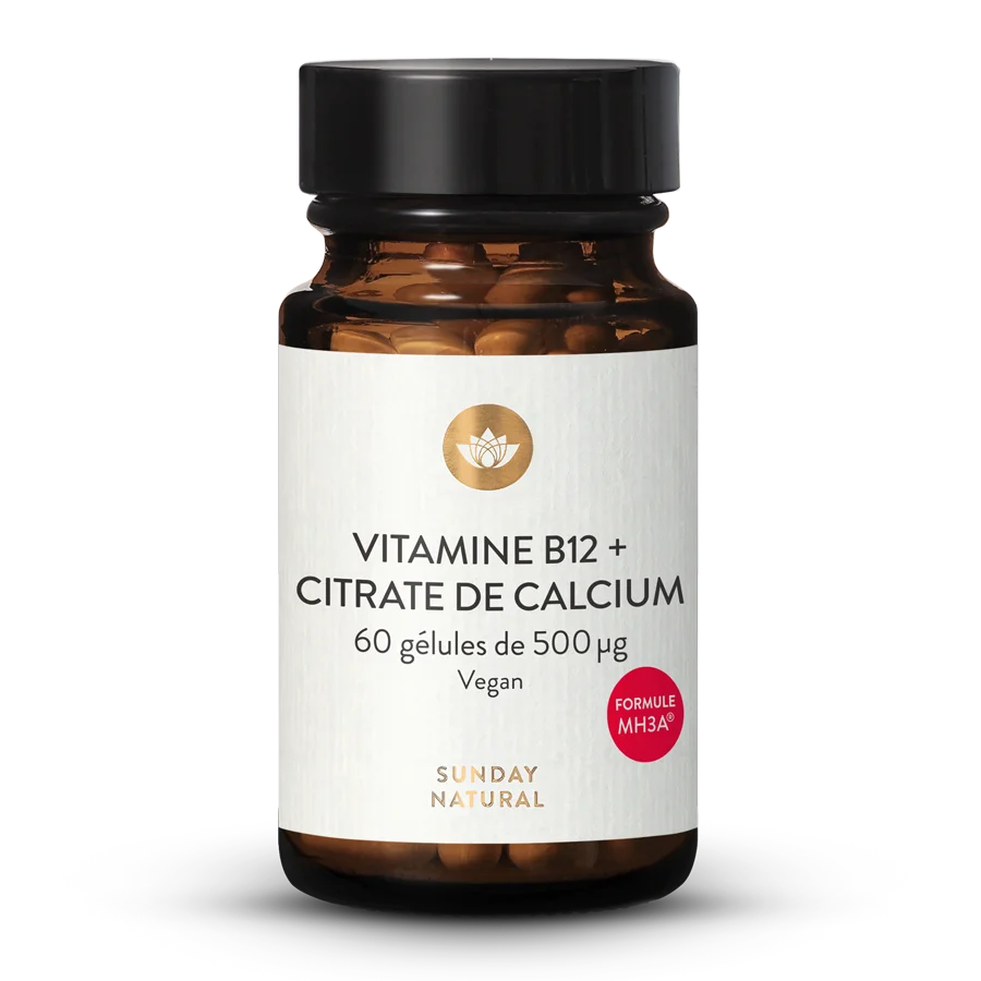 Vitamine B12 Mh3a® + Calcium 500 µg 60 gélules