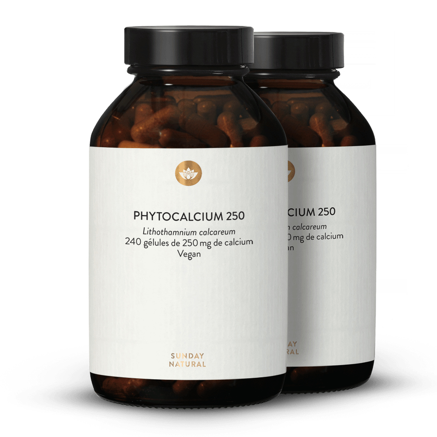 Phytocalcium 2 x 120 gélules