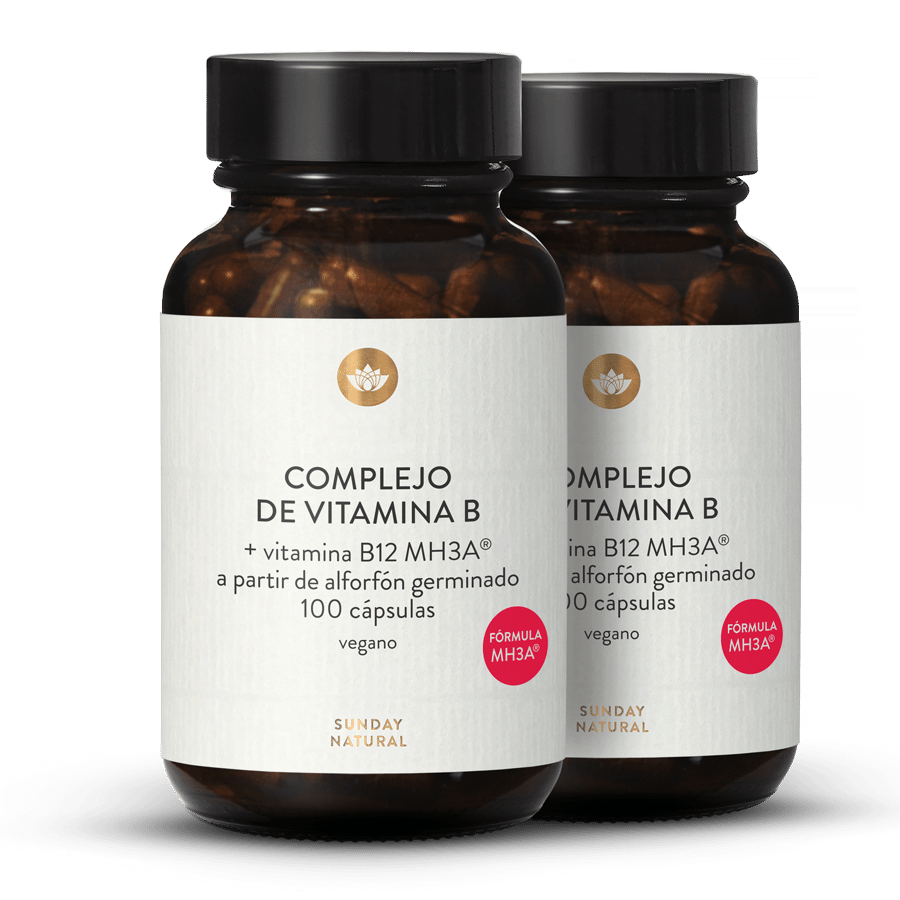 Complejo de vitamina B + B12 MH3A® 2x100 cápsulas