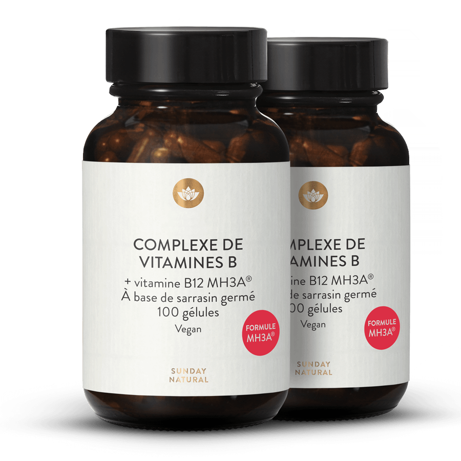 Complexe de vitamines B 2 x 100 gélules