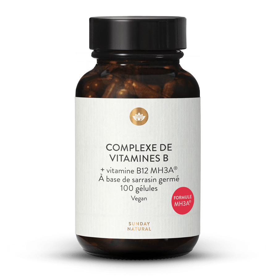 Complexe de vitamines B 100 gélules