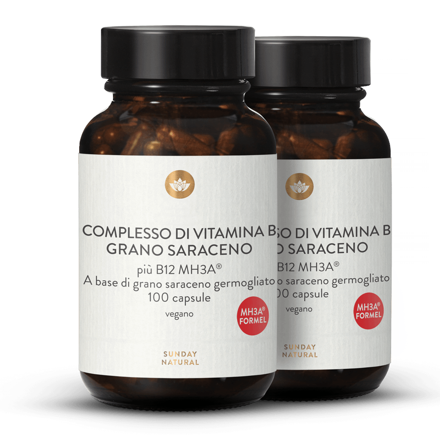 Complesso di vitamina B + B12 MH3A® 2 x 100 capsule
