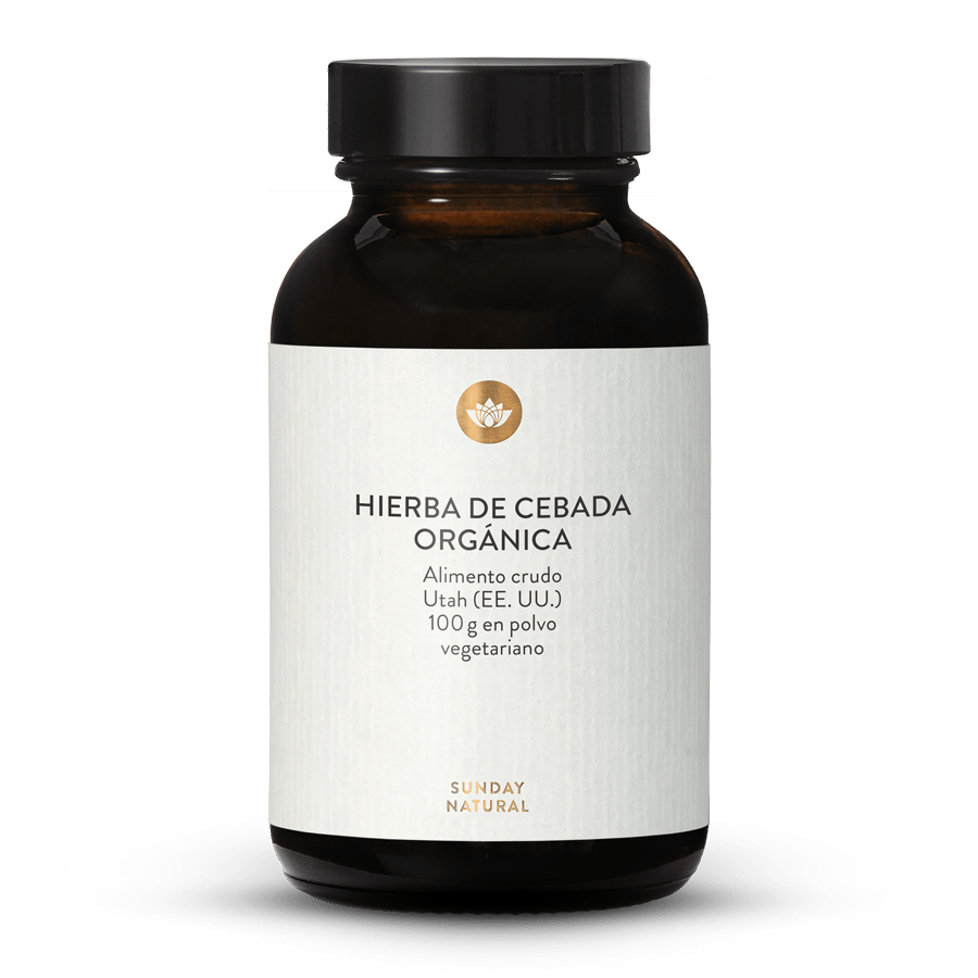 Zumo de hierba de cebada bio en polvo 100 g