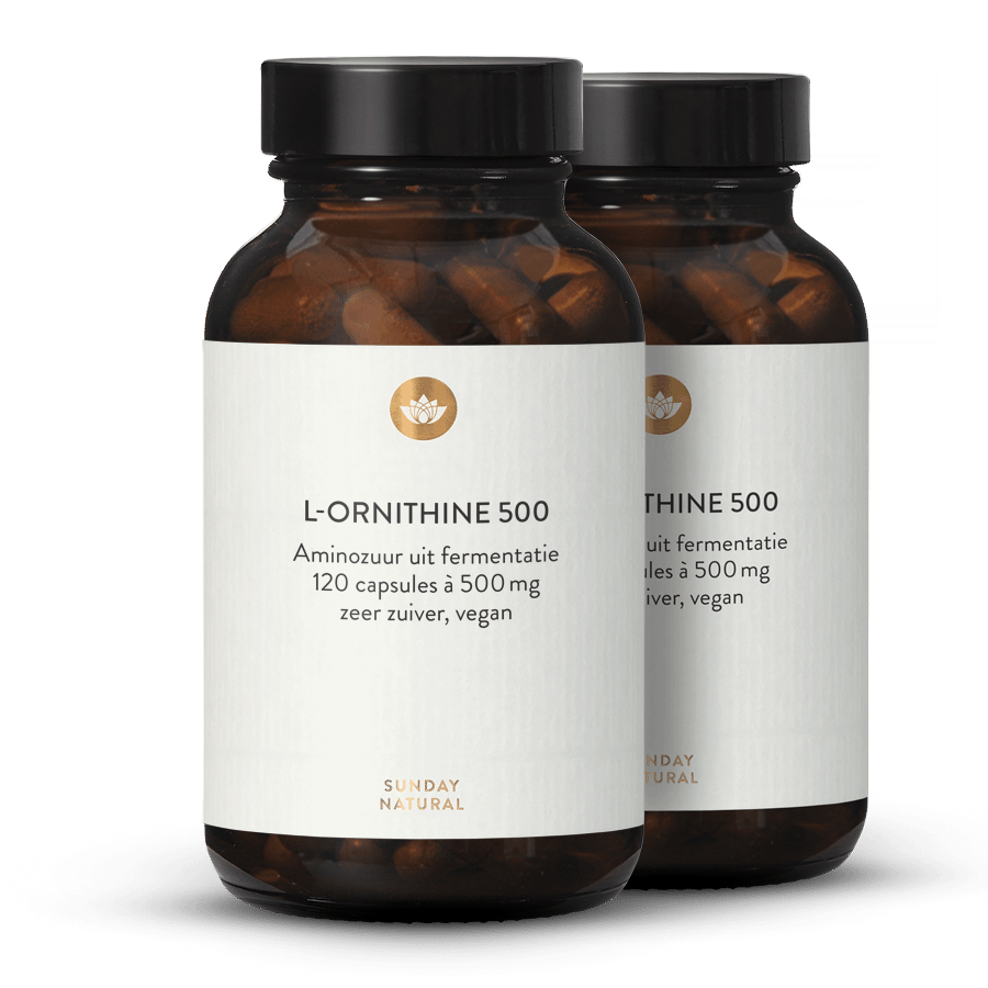 L-Ornithine 500 Capsules uit Fermentatie, Vegan 2x120 capsules