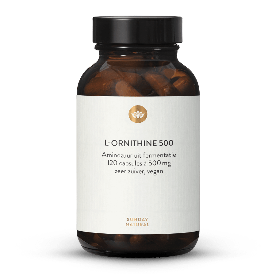 L-Ornithine 500 Capsules uit Fermentatie, Vegan 120 capsules