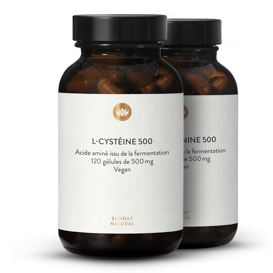Coffret Cystine + Méthionine, Issues De La Fermentation, Vegan 2 x 120 gélules