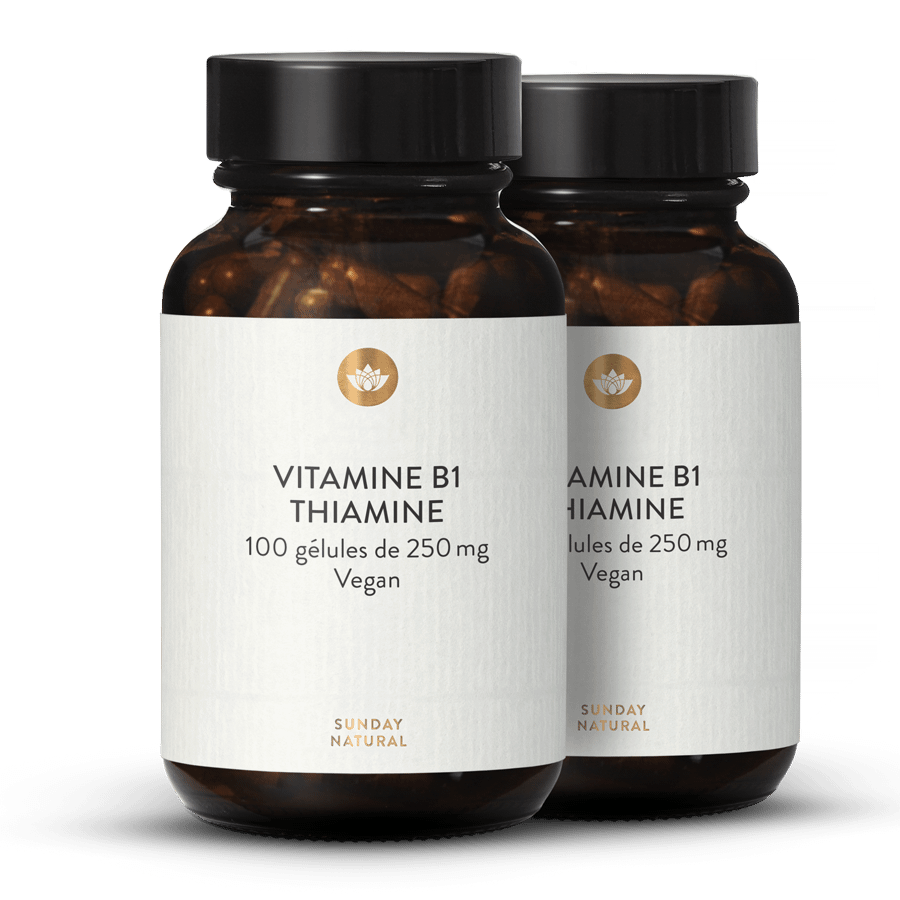 Vitamine B1 (thiamine) 250 mg 2 x 100 gélules