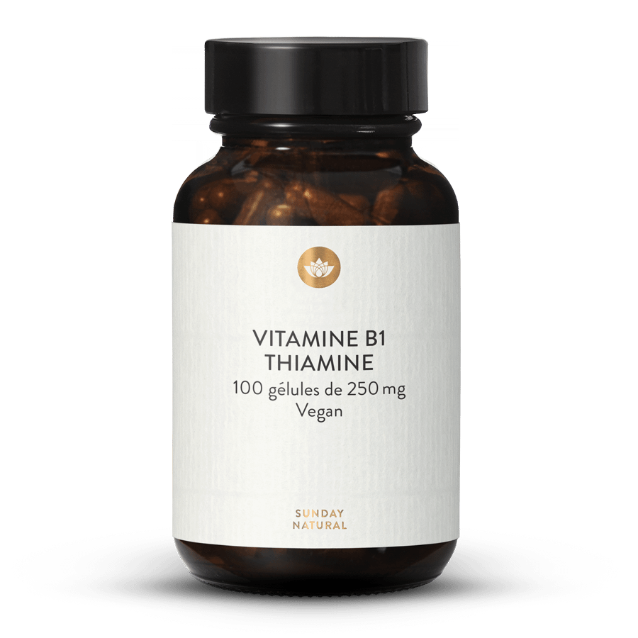 Vitamine B1 (thiamine) 250 mg 100 gélules