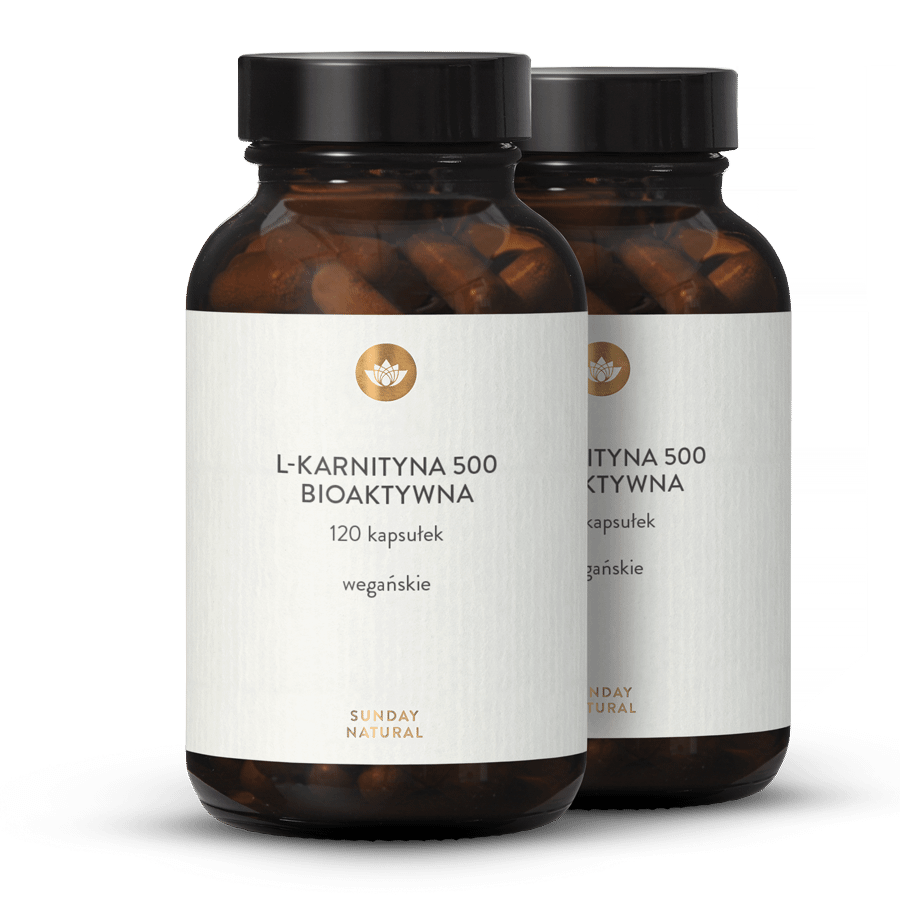 L-karnityna 500mg w kapsułkach 2x120 kapsułek