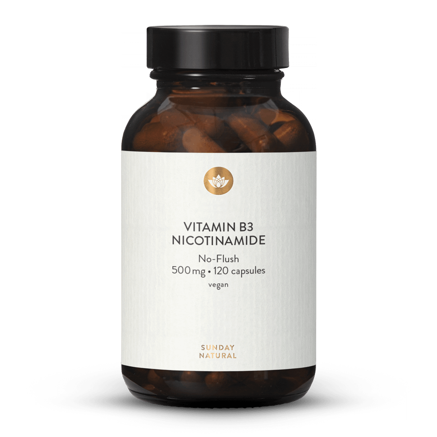 Vitamin B3 Nicotinamid 500mg 120 kapsler