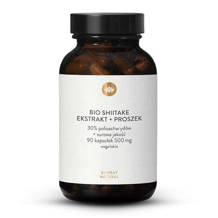 Bio Shiitake ekstrakt + proszek kapsułki 90 kapsułek