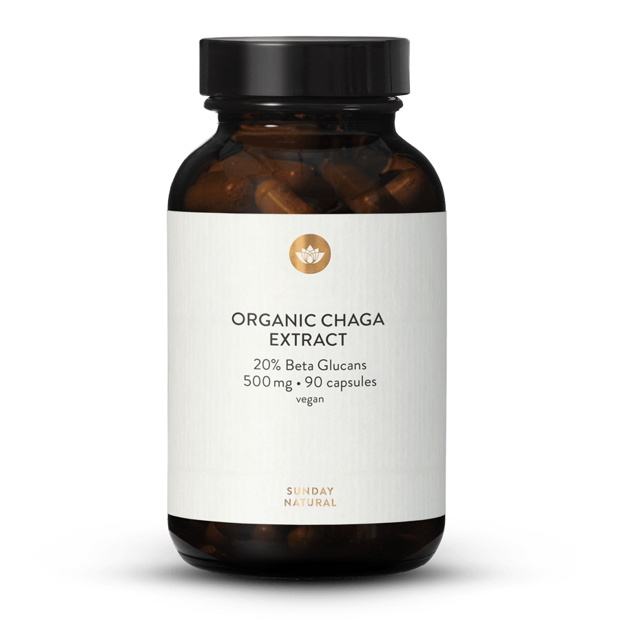 Økologisk chaga-ekstrakt med 20 % beta-glucan 90 kapsler